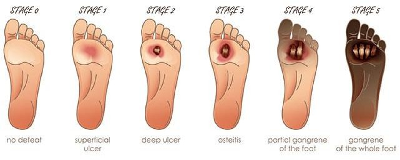 Modern Treatment for Arterial Disease(圖10)